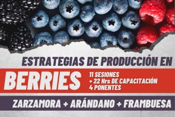 Curso SMEAP