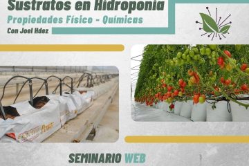 Webinar