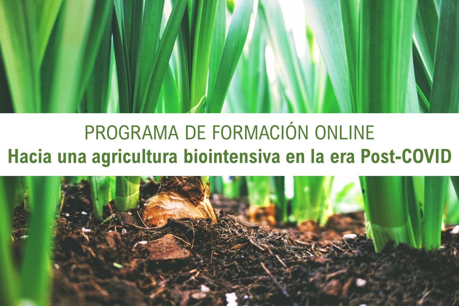 Hacia una agricultura biointensiva en la era Post-COVID