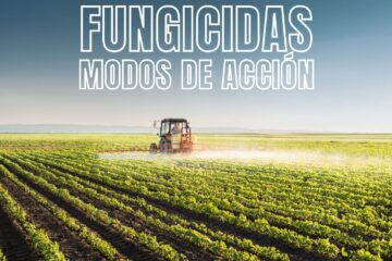 Fungicidas, Grupos y Modos de Acción